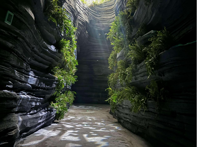 1751271795160631.png image.png