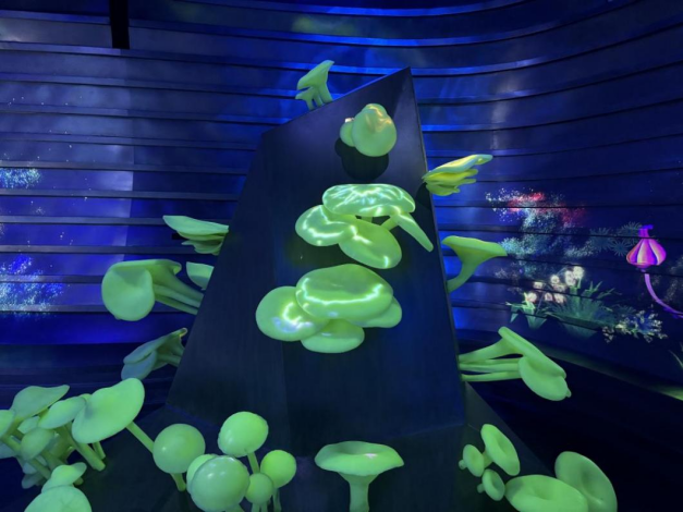 1751271981122920.png image.png